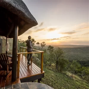 Picture of Chat with our Safari Expert