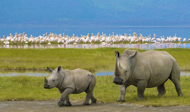 Ngorongoro - Social -Adventure