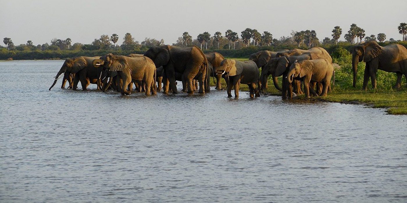 Social - Adventure - Safari