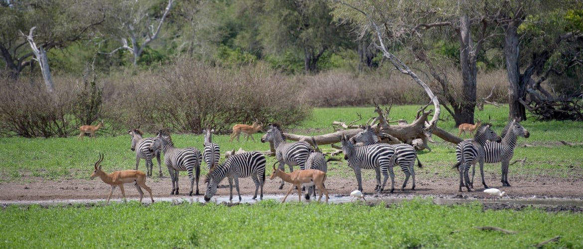Tanzania - Adventure