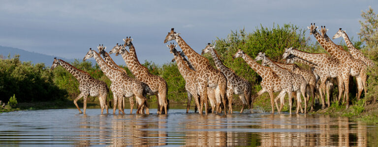 Nyerere National Park