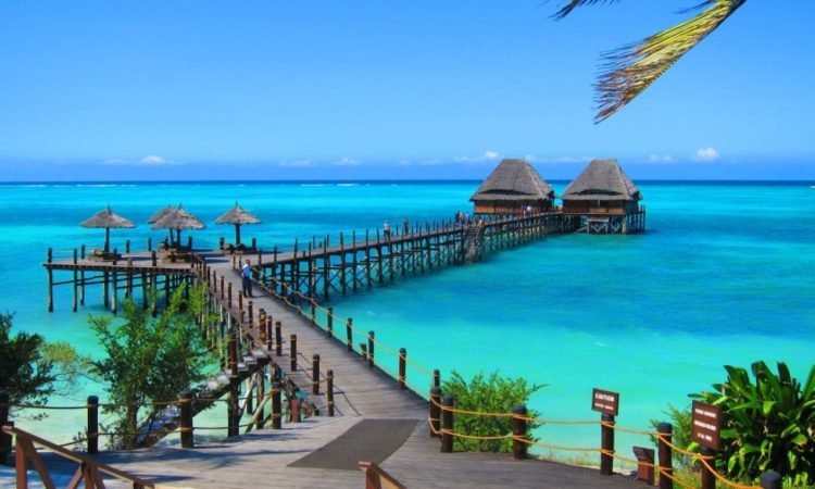 Zanzibar - Social - Safari
