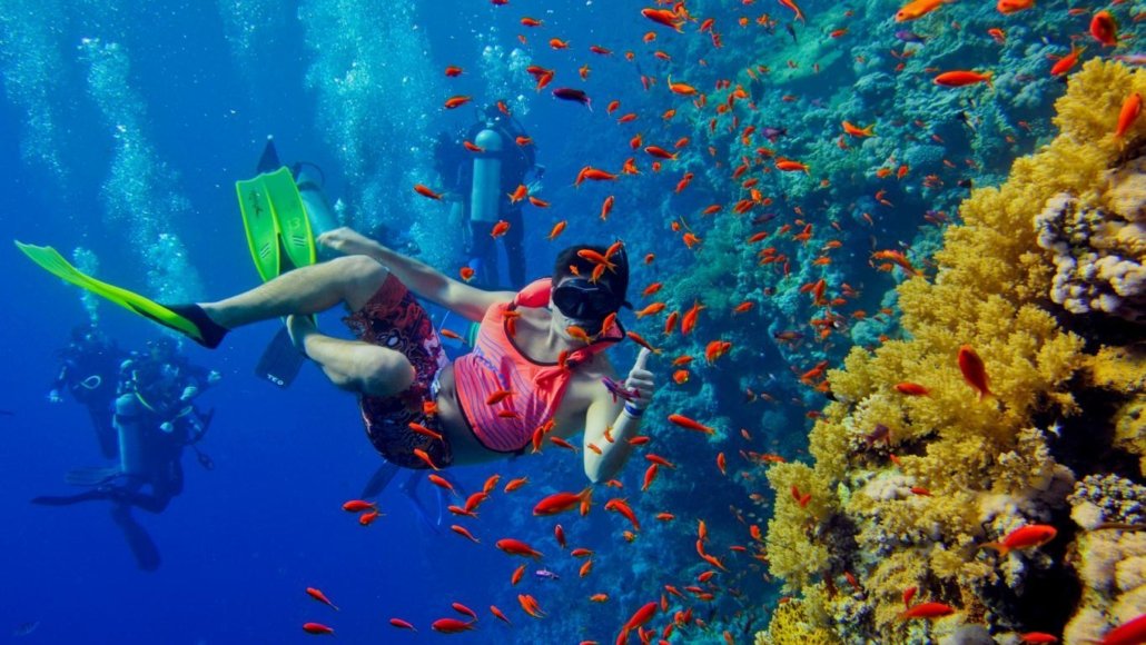diving Zanzibar