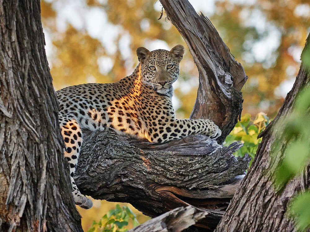 serengeti national park