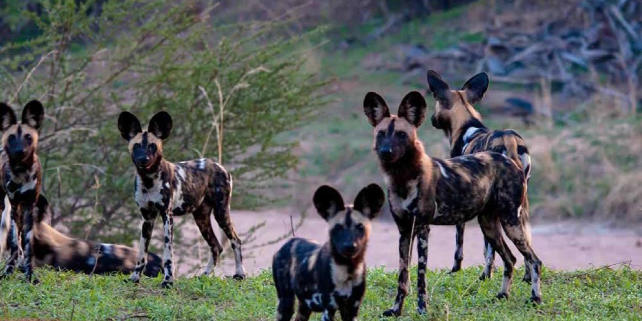 southern Tanzania