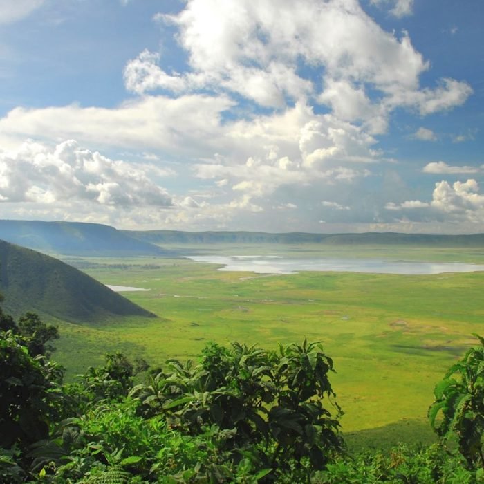 Safari - Ngorongoro - Crater