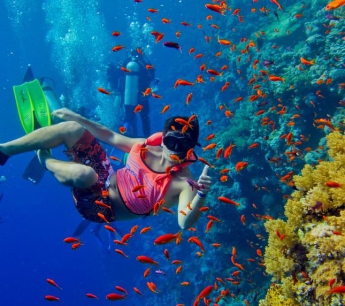 diving Zanzibar