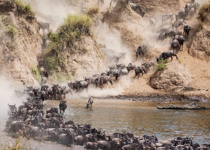 mara river migration