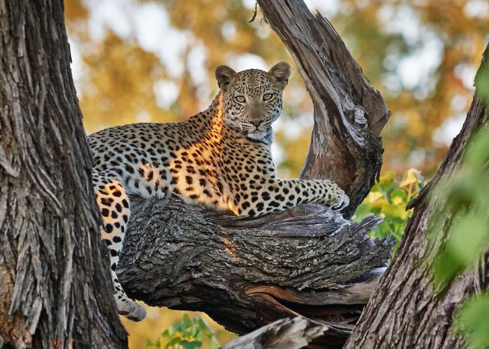 serengeti national park